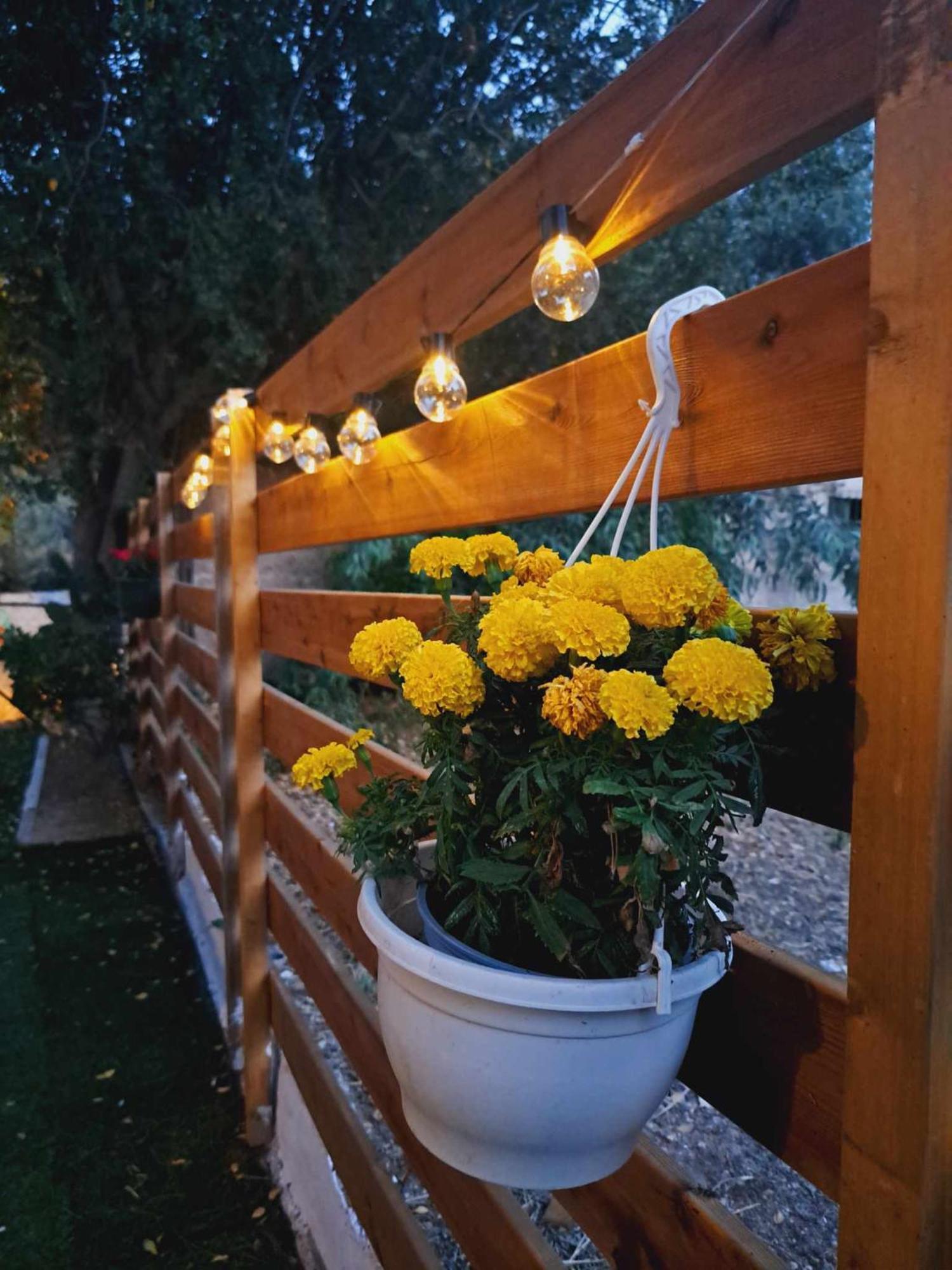 Felina House Villa Artemida  Bagian luar foto